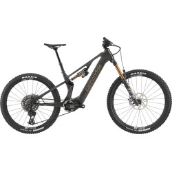 Cannondale Moterra SL 1 RAW
