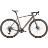 Trek Checkpoint ALR 5 Gen 3 Bronze Age