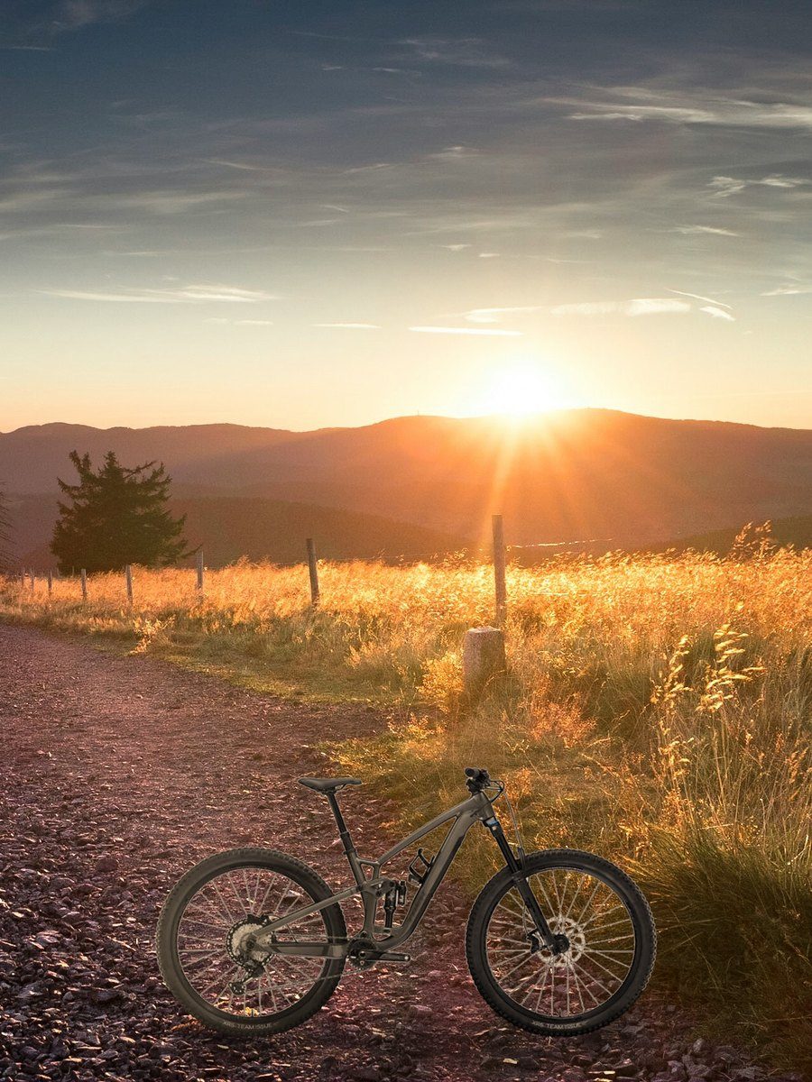 Trail